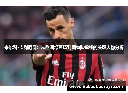 米尔科·卡利尼奇:从欧洲绿茵场到国家队锋线的关键人物分析 米尔科·卡利尼奇:从欧洲绿茵场到国家队锋线的关键人物分析