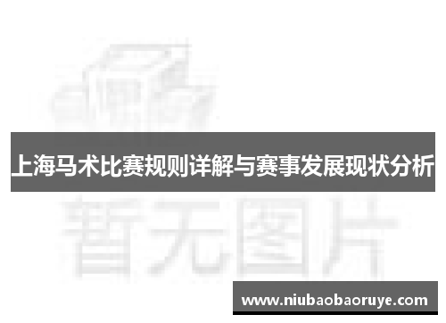 上海马术比赛规则详解与赛事发展现状分析