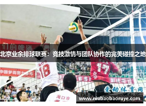 北京业余排球联赛：竞技激情与团队协作的完美碰撞之地