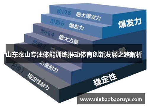 山东泰山专注体能训练推动体育创新发展之路解析 山东泰山专注体能训练推动体育创新发展之路解析