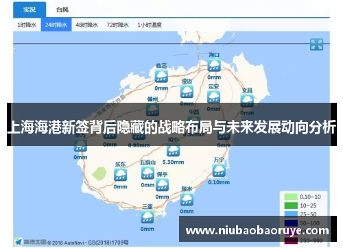 上海海港新签背后隐藏的战略布局与未来发展动向分析