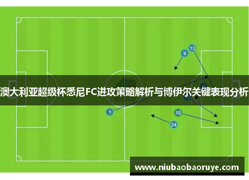 澳大利亚超级杯悉尼FC进攻策略解析与博伊尔关键表现分析 澳大利亚超级杯悉尼FC进攻策略解析与博伊尔关键表现分析